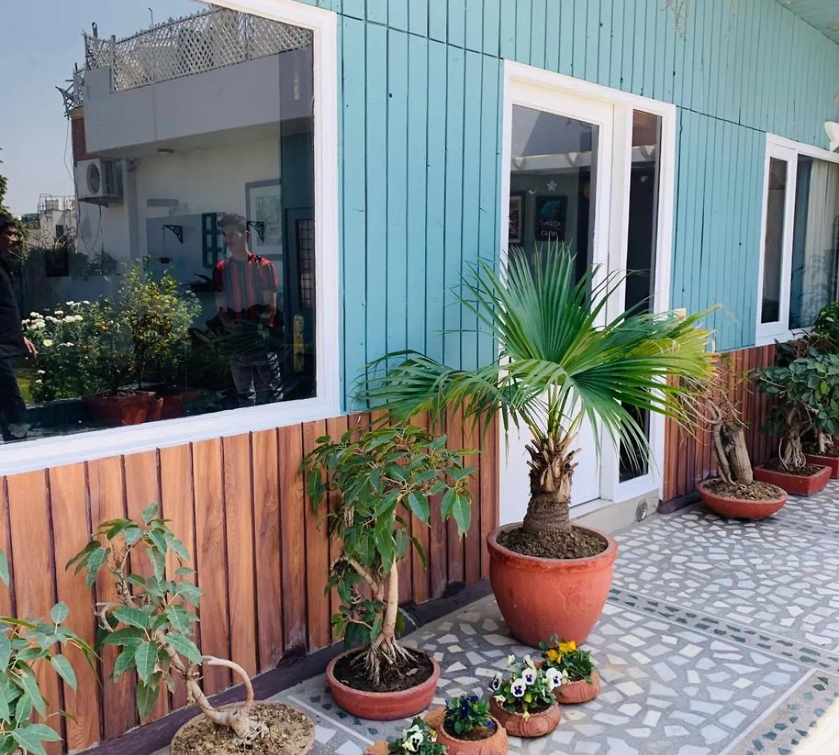 Vandana'S Bed And Breakfast New Delhi India